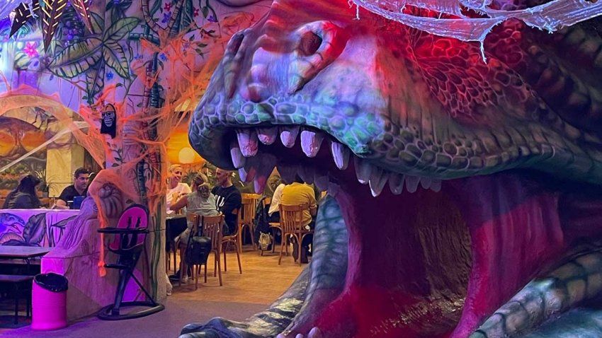 Fiestas  juveniles y para adultos